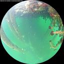 ./images/calvert/underwater/20260524/underwater20260524_103001M.jpg