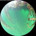 ./images/calvert/underwater/20260524/underwater20260524_105002M.jpg