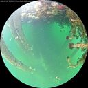 ./images/calvert/underwater/20260524/underwater20260524_105501M.jpg