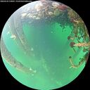 ./images/calvert/underwater/20260524/underwater20260524_110001M.jpg