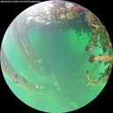 ./images/calvert/underwater/20260524/underwater20260524_111001M.jpg