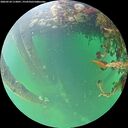 ./images/calvert/underwater/20260524/underwater20260524_113001M.jpg