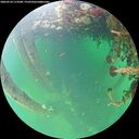 ./images/calvert/underwater/20260524/underwater20260524_113501M.jpg