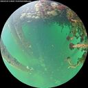 ./images/calvert/underwater/20260524/underwater20260524_114001M.jpg
