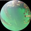 ./images/calvert/underwater/20260524/underwater20260524_115502M.jpg