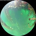 ./images/calvert/underwater/20260524/underwater20260524_120002M.jpg