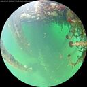 ./images/calvert/underwater/20260524/underwater20260524_120501M.jpg