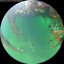 ./images/calvert/underwater/20260524/underwater20260524_121001M.jpg