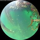 ./images/calvert/underwater/20260524/underwater20260524_122001M.jpg