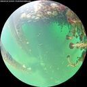 ./images/calvert/underwater/20260524/underwater20260524_122501M.jpg