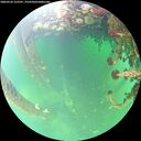 ./images/calvert/underwater/20260524/underwater20260524_123501M.jpg