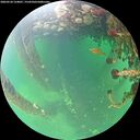 ./images/calvert/underwater/20260524/underwater20260524_124001M.jpg