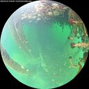 ./images/calvert/underwater/20260524/underwater20260524_124502M.jpg