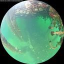 ./images/calvert/underwater/20260524/underwater20260524_125002M.jpg