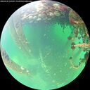 ./images/calvert/underwater/20260524/underwater20260524_125501M.jpg