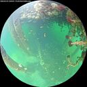 ./images/calvert/underwater/20260524/underwater20260524_130501M.jpg