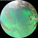./images/calvert/underwater/20260524/underwater20260524_131501M.jpg