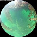 ./images/calvert/underwater/20260524/underwater20260524_133001M.jpg