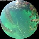./images/calvert/underwater/20260524/underwater20260524_135501M.jpg