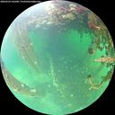 ./images/calvert/underwater/20260524/underwater20260524_141001M.jpg