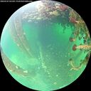 ./images/calvert/underwater/20260524/underwater20260524_141501M.jpg