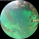 ./images/calvert/underwater/20260524/underwater20260524_142002M.jpg