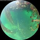 ./images/calvert/underwater/20260524/underwater20260524_142501M.jpg