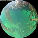 ./images/calvert/underwater/20260524/underwater20260524_143501M.jpg