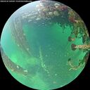 ./images/calvert/underwater/20260524/underwater20260524_144501M.jpg