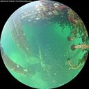 ./images/calvert/underwater/20260524/underwater20260524_145001M.jpg