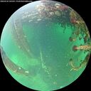 ./images/calvert/underwater/20260524/underwater20260524_145501M.jpg