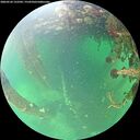 ./images/calvert/underwater/20260524/underwater20260524_152502M.jpg