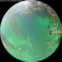 ./images/calvert/underwater/20260524/underwater20260524_154501M.jpg