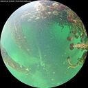 ./images/calvert/underwater/20260524/underwater20260524_155002M.jpg