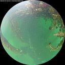 ./images/calvert/underwater/20260524/underwater20260524_161501M.jpg