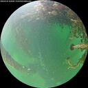 ./images/calvert/underwater/20260524/underwater20260524_162001M.jpg