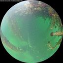 ./images/calvert/underwater/20260524/underwater20260524_162501M.jpg