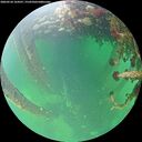 ./images/calvert/underwater/20260524/underwater20260524_164501M.jpg