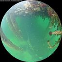 ./images/calvert/underwater/20260524/underwater20260524_170001M.jpg
