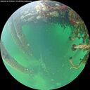 ./images/calvert/underwater/20260524/underwater20260524_170501M.jpg