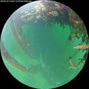 ./images/calvert/underwater/20260524/underwater20260524_171001M.jpg