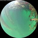./images/calvert/underwater/20260524/underwater20260524_185001M.jpg