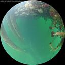 ./images/calvert/underwater/20260524/underwater20260524_191002M.jpg