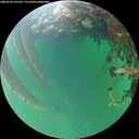 ./images/calvert/underwater/20260524/underwater20260524_191501M.jpg