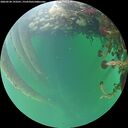 ./images/calvert/underwater/20260524/underwater20260524_193501M.jpg