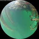 ./images/calvert/underwater/20260524/underwater20260524_194001M.jpg
