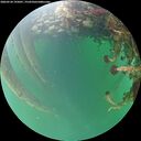 ./images/calvert/underwater/20260524/underwater20260524_195001M.jpg