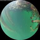 ./images/calvert/underwater/20260524/underwater20260524_200001M.jpg