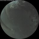 ./images/calvert/underwater/20260525/underwater20260525_050001M.jpg