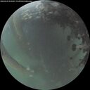 ./images/calvert/underwater/20260525/underwater20260525_051001M.jpg